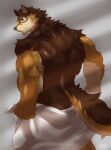  anthro back_muscles barrel barrel_(live_a_hero) biceps brown_body brown_fur canid canine canis fur hi_res lifewonders live_a_hero looking_back male mammal muscular muscular_anthro shirtless solo towel wolf zenon0917 
