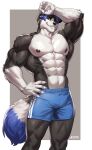  absurd_res amon-sydonai amonsyd anthro black_nipples blue_clothing bodily_fluids border_collie bulge canid canine canis clothed clothing collie domestic_dog glistening glistening_body herding_dog hi_res looking_at_viewer male mammal mason_(trivolmckenley) muscular muscular_anthro muscular_male nipples pastoral_dog pecs sheepdog solo sportswear sweat topless 