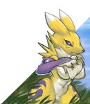  abs angry anthro bandai_namco biped black_sclera blue_eyes breasts chest_fur claws clothing cloud crotch_tuft digimon digimon_(species) female fur grass looking_at_viewer muscular muscular_thighs pester plant renamon sky solo thick_thighs tuft white_body white_fur yellow_body yellow_fur 