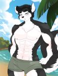  2018 abs anthro athletic athletic_anthro athletic_male black_body black_fur black_hair black_tail blue_eyes blush bottomwear canid canine canis chalo clothing day domestic_dog eyebrows fingers fur hair half-closed_eyes husky looking_at_viewer male mammal multicolored_body multicolored_fur narrowed_eyes nordic_sled_dog outside simon_(chalo) solo spitz swimwear tail two_tone_body two_tone_fur two_tone_tail water white_body white_fur white_tail 