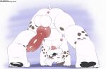  animal_genitalia animal_penis balls belly canid canine canine_genitalia canine_penis canis cudacore dalmatian domestic_dog erection feet genitals hi_res knot male mammal pascal_(cudacore) paws penis presenting taunting toes 