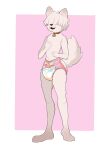  absurd_res ambiguous_gender anthro canid canine canis collar covered_eyes diaper dljoe domestic_dog feet hair hair_over_eyes hi_res mammal open_mouth raised_tail solo standing tail 
