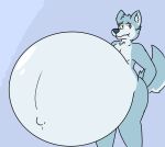  anthro belly belly_inflation big_belly canid canine canis fernkarry fernkarrythewolf hi_res inflation male mammal solo uzaruza wolf 