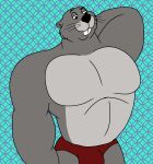  anthro bulge clothing disney fur gopher gopher_(winnie_the_pooh) grey_body grey_fur hi_res male mammal muscular muscular_anthro muscular_male red_clothing red_speedo red_swimwear rodent solo speedo swimwear whiskers winnie_the_pooh_(franchise) wolfox90210 