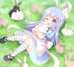  1girl angora_rabbit animal animal_ears anko_(gochiusa) araki495 blue_bow blue_eyes blue_hair bow commentary_request gochuumon_wa_usagi_desu_ka? hair_ornament kafuu_chino kneehighs light_blue_hair long_hair one_eye_closed rabbit rabbit_ears revision socks striped striped_socks tippy_(gochiusa) x_hair_ornament 