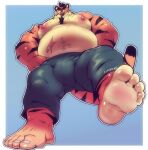  anthro belly bottomwear bulge chubby_male clothing cursedmarked feet felid hi_res male mammal pantherine paws shorts solo tiger 