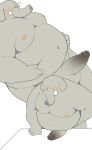  anthro balls belly big_penis blush elephant elephantid erection genitals grey_body haoming hi_res hizen_(tamacolle) male mammal moobs multiple_images navel nipples nude overweight penis proboscidean proboscis_(anatomy) simple_background solo tamacolle trunk_(anatomy) tusks vein veiny_penis white_background 