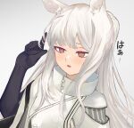  1girl :o animal_ear_fluff animal_ears ao_oni_(onioni-aoi) arknights arm_up black_gloves bright_pupils brown_eyes commentary_request elbow_gloves expressionless eyebrows_hidden_by_hair gloves grey_background hair_twirling high_collar highres horse_ears horse_girl light_blush long_hair looking_ahead open_mouth platinum_(arknights) portrait solo tabard white_hair white_pupils white_tabard 