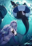  2girls animal_ears bikini black_bikini breasts clenched_teeth fins fish_tail from_below furry furry_female highres iwbitu large_breasts long_hair multiple_girls navel orca_girl original shark_girl shark_tail sharp_teeth side-tie_bikini_bottom smile swimsuit tail teeth underwater white_hair 