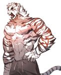  1boy abs animal_ears arknights bara facial_hair feet_out_of_frame furry furry_male goatee hagrang highres large_hands large_pectorals male_focus mountain_(arknights) muscular muscular_male nipples pants pectorals scar scar_across_eye scar_on_arm sharp_teeth short_hair solo standing stomach teeth thick_eyebrows tiger_boy tiger_ears topless_male track_pants white_hair yawning 
