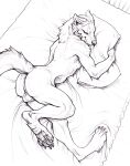  anthro anus balls bed canid canine canis embrace furniture genitals hibbary hug hugging_pillow male mammal nude pillow raised_tail sleeping smile solo solo_focus tail wolf 