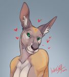  2023 anthro better_version_at_paywall bust_portrait cropped digital_drawing_(artwork) digital_media_(artwork) female green_eyes grey_background hearts_around_head indiwolf kangaroo looking_at_viewer macropod mammal marsupial mouth_closed portrait signature simple_background smile solo tufted_ears 