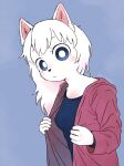  1girl animal_ears blue_background blue_eyes blue_shirt body_fur breasts bright_pupils buncama closed_mouth dog_ears highres hood hooded_jacket jacket open_clothes open_jacket original purple_jacket shirt simple_background solo twitter_username white_fur white_hair white_pupils 