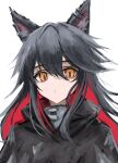  1girl 3_(sanyako1) absurdres animal_ears arknights black_capelet black_hair capelet closed_mouth highres long_hair looking_at_viewer multicolored_hair orange_eyes red_hair solo texas_(arknights) two-tone_hair upper_body wolf_ears 