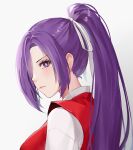  1girl aroevela bright_pupils closed_mouth commentary grey_background hair_over_one_eye highres long_hair looking_at_viewer meira_(touhou) ponytail purple_eyes purple_hair simple_background solo touhou touhou_(pc-98) upper_body white_pupils 