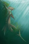  algae anthro breasts fangsofwhite female fin hi_res light light_beam marine merfolk milanna_(creature71) nude sea side_boob solo split_form sunbeam sunlight underwater water 