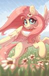  2023 absurd_res accessory chest_tuft cloud dandy_(artist) equid equine eyebrows eyelashes feathered_wings feathers female feral flower flower_in_hair fluttershy_(mlp) friendship_is_magic fur hair hair_accessory hasbro hi_res inner_ear_fluff long_hair looking_at_viewer mammal my_little_pony pegasus pink_hair plant solo teal_eyes tuft wings yellow_body yellow_fur 