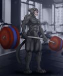  anthro bagheera black digital_media_(artwork) domestic_cat felid feline felis furry gym hi_res invalid_tag lifting male mammal muscular pantherine shredded the_jungle_book weights 