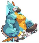  2023 abs anthro avian balls blue_body blue_feathers breath_of_the_wild erection feathers genitals hi_res kass_(tloz) male muscular muscular_male nintendo nipples pecs penis rito solo the_legend_of_zelda voviat yellow_eyes 