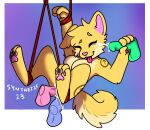  anthro bdsm bondage bound canid canine canis curled_tail disembodied_penis domestic_dog female foursome fur genitals group group_sex hi_res male mammal penis sex smile solo suspension suspension_bondage synthet1c tail yellow_body yellow_fur 