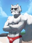  2023 abs anthro areola athletic athletic_anthro athletic_male black_nose bulge canid canine canis clothed clothing fur hair hi_res lifeguard looking_at_viewer male mammal mihoyo pureolliebranch red_eyes sky solo swimwear tail topless topless_anthro topless_male topwear von_lycaon white_body white_fur white_hair wolf zenless_zone_zero 