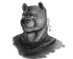  anthro bear canid canine canis drawing equid equine hi_res horse male male/male mammal sergld solo wolf 