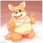  2023 anthro belly big_belly blush brown_body bulge canid canine canis clothing domestic_dog green_eyes hi_res humanoid_hands k_gutless kemono male mammal moobs navel nipples overweight overweight_male solo tongue tongue_out underwear 