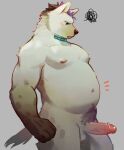  2023 anthro areola arknights balls belly black_hair blush collar collar_only erect_nipples erection fur genitals grey_body grey_fur hair hi_res humanoid_genitalia humanoid_penis hyena hypergryph male mammal nipples nude overweight overweight_anthro overweight_male penis pink_penis pluto08010511 pu94_d1de4c pubes solo spot_(arknights) spots spotted_body spotted_fur spotted_hyena studio_montagne 