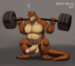  anthro big_penis doctorotter douglas_kim erection exercise genitals gym hi_res huge_penis humanoid_genitalia humanoid_penis hyper hyper_genitalia hyper_penis male male/male musclegut muscular muscular_arms muscular_male nude penis solo weightlifting workout 