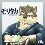 1:1 anthro asian_clothing blue_eyes canid canine canis clothing dango_(food) domestic_dog east_asian_clothing eyebrows fluffy fur grey_body grey_fur hi_res japanese_clothing kimono lifewonders male mammal moritaka plate satoshijoga1 solo thick_eyebrows tokyo_afterschool_summoners 