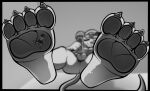  anthro claws duo feet foot_fetish foot_focus foot_play hi_res human humanoid_feet junethekitty larger_male larger_male_smaller_male low-angle_view macro male male/male male_feet mammal masturbation micro micro_on_macro monochrome mouse murid murine nude pawpads paws pinned plantigrade rodent size_difference smaller_male smothering soles toe_claws underfoot 