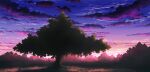  aoha_(twintail) bush dark forest grass nature no_humans original pink_sky purple_sky scenery shadow sky sunlight sunset tree 