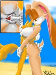  age_difference anthro beach butt butt_grab canid canine duo female fox hand_on_butt holding_head lagomorph leporid male male/female mammal mature_female miles_prower mother_(lore) nahadon nude older_female parent_(lore) rabbit seaside sega sex sonic_the_hedgehog_(series) standing standing_sex taller_female vanilla_the_rabbit younger_male 