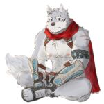  absurd_res anthro canid canine canis clothing crave_saga eyebrows footwear fujisakiaming fur grey_body grey_fur hakuma_(crave_saga) hi_res male mammal nipples pecs sandals scarf simple_background sitting solo thick_eyebrows white_background wolf 