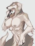  2023 4_breasts 5_fingers 6_nipples anthro big_breasts biped black_claws black_nose black_pawpads borzoi breasts brown_body brown_fur canid canine canis claws countershade_face countershade_neck countershade_torso countershading dark_claws dark_nose digital_drawing_(artwork) digital_media_(artwork) domestic_dog female finger_claws fingers floppy_ears fur grey_body grey_eyes grey_fur grey_nipples hi_res hunting_dog kemono light_body light_breasts light_countershading light_ears light_hands long_snout looking_aside mammal monotone_breasts monotone_claws monotone_ears monotone_eyes monotone_hands monotone_nipples monotone_nose multi_breast multi_nipple multicolored_body multicolored_fur navel nekomata_ftnr nipples nude pawpads raised_hand sighthound small_breasts snout solo whisker_spots white_body white_breasts white_countershading white_ears white_fur white_hands white_whiskers 