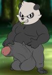  anthro balls bear big_balls big_penis bodily_fluids camp14 dominant dominant_male foreskin forest forest_background generation_6_pokemon genital_fluids genitals giant_panda hi_res huge_balls huge_penis humanoid_genitalia humanoid_penis hyper hyper_balls hyper_genitalia hyper_penis looking_at_viewer male mammal nature nature_background nintendo pancham penis plant pokemon pokemon_(species) precum slightly_chubby smug solo tree 