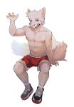  anthro athletic athletic_male bottomwear canid canine canis clothing footwear fur hair hi_res itooku male mammal nipples red_eyes shirtless_male shoes shorts simple_background sitting smile sneakers socks solo tail white_background white_body white_fur wolf 