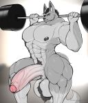  abs absurd_res anthro balls barbell batmanholecover biceps body_hair canid canine dan_(batmanholecover) exercise foreskin genitals hair hairy_balls happy_trail hi_res lifting looking_at_viewer male mammal muscular muscular_anthro muscular_male muscular_thighs nipples nude pecs penis solo thick_thighs weightlifting weights workout 
