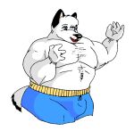 2009 anthro big_muscles blue_eyes bottomwear canid canine canis chuck_(danellz) clothing danellz digital_media_(artwork) domestic_dog fur growth male mammal muscle_growth muscular muscular_anthro muscular_male open_mouth shorts simple_background solo white_background white_body white_fur 