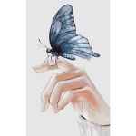  animal_focus artist_name bandaid bandaid_on_hand blue_butterfly bug butterfly butterfly_on_hand cognacbear fingernails grey_background highres original simple_background sweater white_sweater 