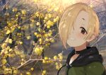  1girl azuse_neko black_choker blonde_hair branch brown_eyes choker close-up ear_piercing hair_over_one_eye hood hood_down hoodie idolmaster idolmaster_cinderella_girls looking_at_viewer outdoors photo_background piercing shirasaka_koume short_hair smile solo teeth tree 