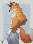  abs anthro biceps blue_eyes bottomwear bottomwear_down bulge canid canine clothed clothing fluffy fluffy_tail fox genital_outline head_tuft hi_res lion21 male mammal muscular muscular_anthro muscular_male nipples orange_body pants pants_down partially_clothed pecs penis_outline simple_background smile smiling_at_viewer smirk solo sweatpants tail tight_pants_(meme) tuft underwear 