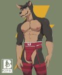  absurd_res anthro armpit_hair body_hair buddy_thunderstruck_(character) buddy_thunderstruck_(series) bulge canid canine canis clothing domestic_dog hi_res hunting_dog lingerie male mammal mr.brapion muscular netflix nipples rat_terrier solo terrier 