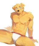  abs anthro athletic athletic_anthro athletic_male bird_dog blue_eyes blush bracelet canid canine canis clothed clothing domestic_dog fur golden_retriever hi_res hunting_dog jewelry jockstrap jockstrap_only male mammal nipples retriever sitting smile solo topless travis_(meesh) underwear underwear_only yellow_body yellow_fur yuuko891 