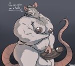  2023 anthro balls belly big_belly big_moobs big_penis english_text erection facial_hair genitals hi_res male mammal mature_male moobs murid murine mustache nipples overweight overweight_male penis rat rodent solo text uniparasite 