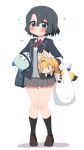  &gt;:) 2girls :3 alternate_costume animal_ears bag black_hair black_jacket black_socks blazer blue_eyes blush blush_stickers bow bowtie brown_footwear cat_ears chibi collared_shirt commentary_request full_body grey_skirt highres jacket kaban_(kemono_friends) kemono_friends kneehighs knees_together_feet_apart lifting_person loafers lucky_beast_(kemono_friends) miniskirt multiple_girls pleated_skirt ransusan red_bow red_bowtie school_bag school_uniform serval_(kemono_friends) shirt shoes shopping_bag short_hair shoulder_bag simple_background skirt socks sparkle standing tail tareme v-shaped_eyebrows white_background white_shirt |_| 