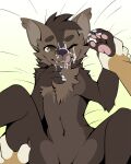  anthro arcshep bodily_fluids brown_body brown_eyes brown_fur calvin_sable canid canine canis cum cum_on_face domestic_dog duo first_person_view fur genital_fluids german_shepherd grabbing_wrist gulonine herding_dog hi_res leg_grab lick_cum looking_at_viewer male male/male mammal manhandling marten mustelid musteline one_eye_closed pastoral_dog pawpads pink_pawpads sable_(marten) slushie-nyappy-paws solo suggestive thigh_grab tongue tongue_out 