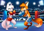  absurd_res anthro arctic_fox boxers_(clothing) boxing boxing_gloves canid canine clothing disney duo dymitr3 emily_(emily_rose) eye_contact eyelashes eyeliner fairfax_(mario_toledo) fan_character female fighting_pose fighting_ring fox green_eyes handwear hi_res illuminated looking_at_another makeup male male/female mammal narrowed_eyes pink_eyes pose public red_fox smile sport underwear zootopia 
