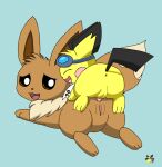  2023 anal anal_penetration anus artist_logo backsack balls blue_background brown_body brown_fur duo eevee eyewear eyewear_on_head female female_on_bottom female_penetrated feral feral_on_feral feral_penetrated feral_penetrating feral_penetrating_feral fur generation_1_pokemon generation_2_pokemon genitals goggles goggles_on_head larger_penetrated logo male male/female male_on_top male_penetrating male_penetrating_female nintendo on_bottom on_top penetration penile penile_penetration penis penis_in_ass pichu pichu90 pokemon pokemon_(species) pussy scarf sex simple_background size_difference sparks_pichu tapering_penis yellow_body yellow_fur 