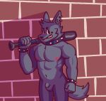  absurd_res anthro balls bat_(object) biceps bracelet brick_wall canid canine canis casual_nudity collar deltoids flaccid fur genitals hi_res holding_object holding_weapon humanoid_genitalia humanoid_hands humanoid_penis jewelry male mammal muscular muscular_anthro muscular_male navel nipples nude pecs penis solo solo_focus spiked_bracelet spiked_collar spikes thrisker wall_(structure) weapon wolf 